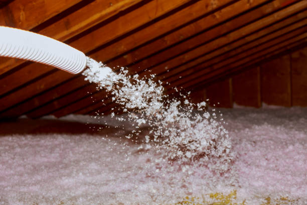 Best Insulation Contractors for Homes  in Craigsville, WV