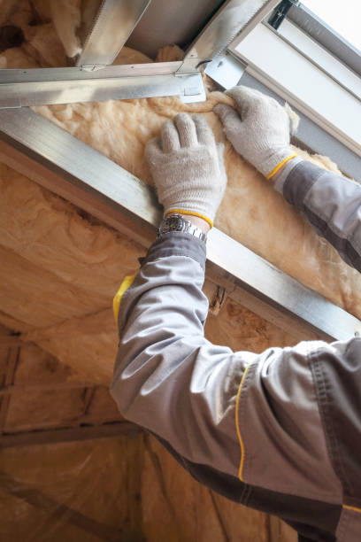 Best Crawl Space Insulation  in Craigsville, WV