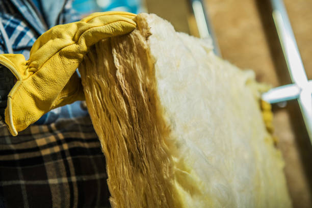 Best Fiberglass Insulation  in Craigsville, WV