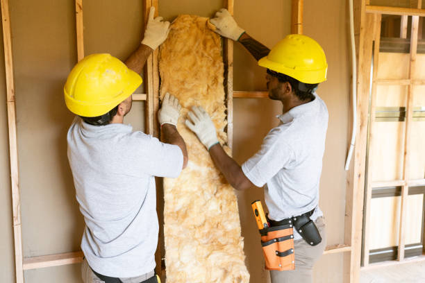 Insulation Repair Services in Craigsville, WV